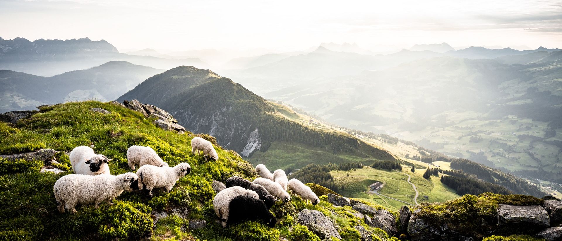 SOMMER: Kitzbüheler Alpen ©gartnermathaeus